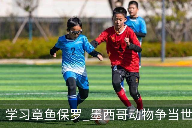 学习章鱼保罗 墨西哥动物争当世界杯预言家