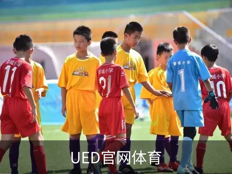 UED官网体育概况